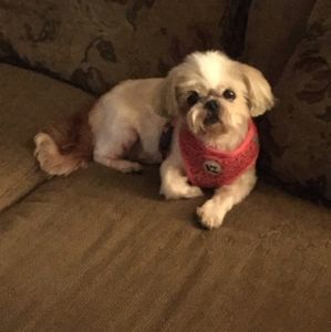 Meet your Posher, Cyndi